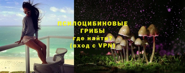 спайс Алексин