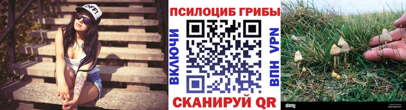 Галлюциногенные грибы Psilocybe  OMG рабочий сайт  Люберцы 
