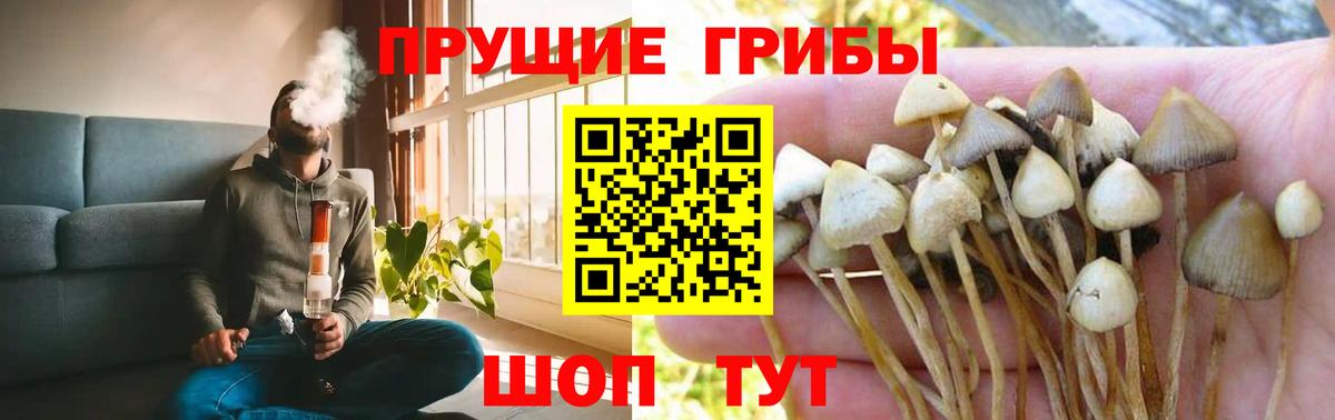 Галлюциногенные грибы прущие грибы Люберцы