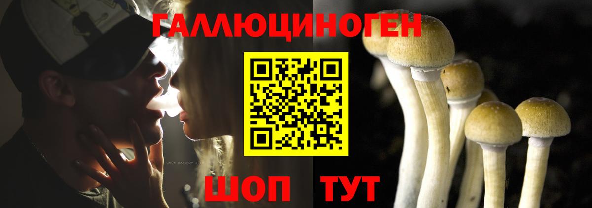 Люберцы  Псилоцибиновые грибы Magic Shrooms  Вход с VPN  Галлюциногенные грибы ЛСД 